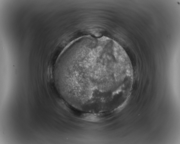 X0000084030182200703092018