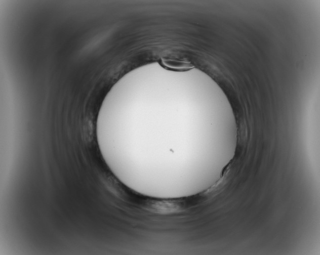 X0000084030183200703092018