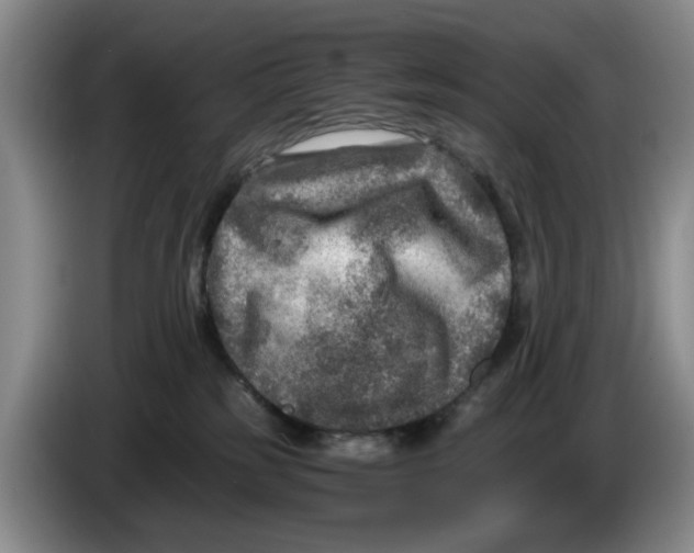 X0000084030185200703092018