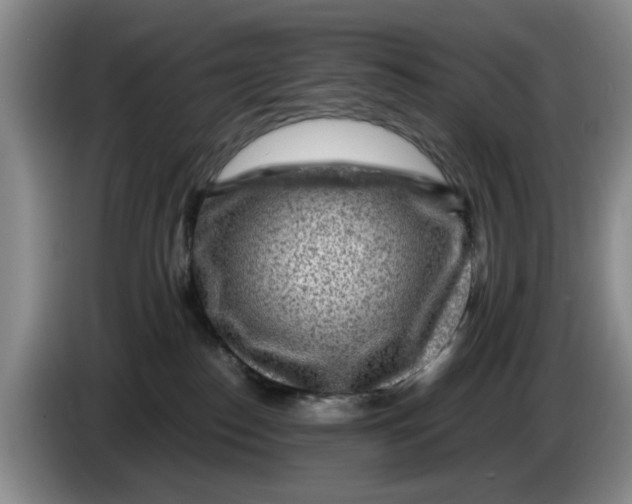 X0000084030186200703092018