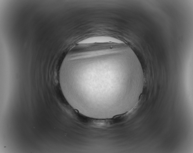 X0000084030187200703092018