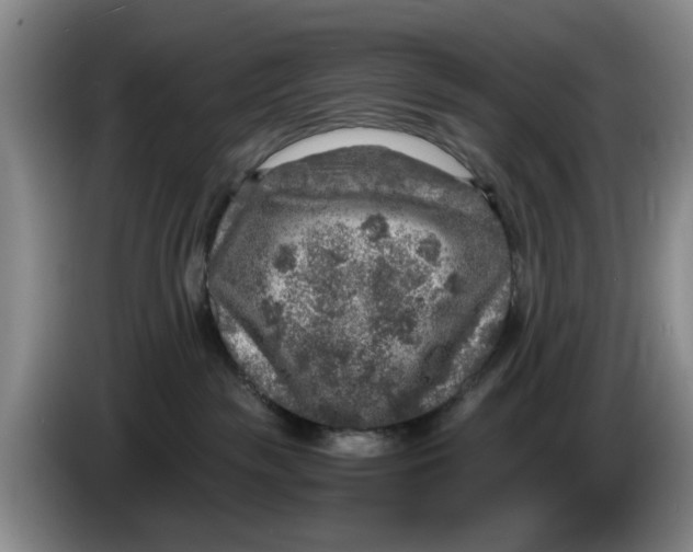 X0000084030189200703092018