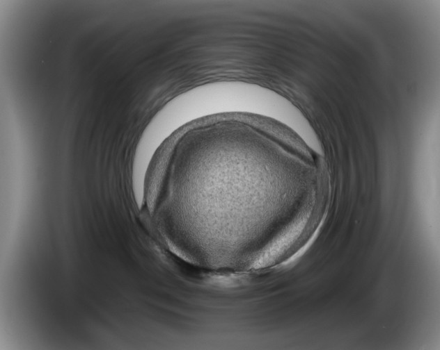 X0000084030190200703092018