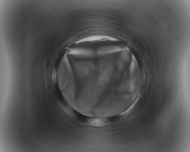 X0000084030191200703092018