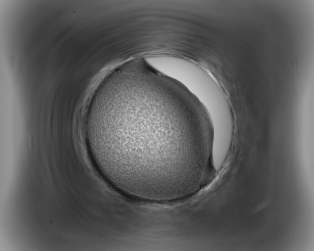 X0000084030193200703092017