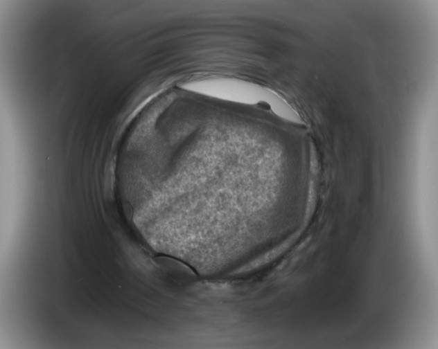 X0000084030194200703092017