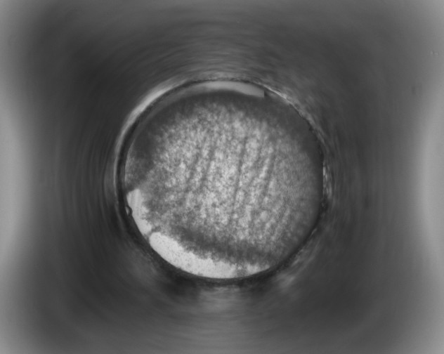 X0000084030196200703092017