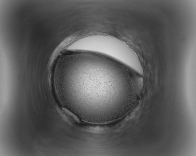 X0000084030197200703092017