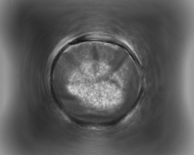 X0000084030199200703092017