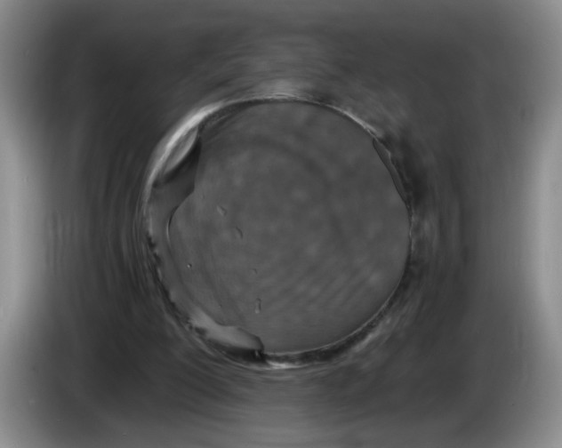 X0000084030200200703092017