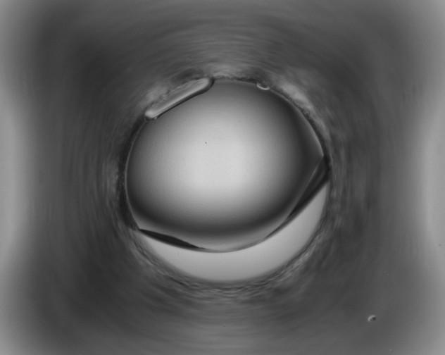 X0000084030201200703092017