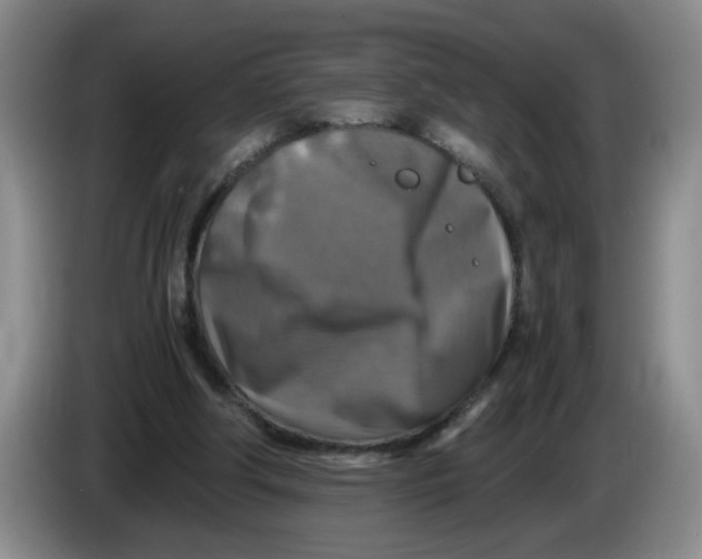 X0000084030202200703092017