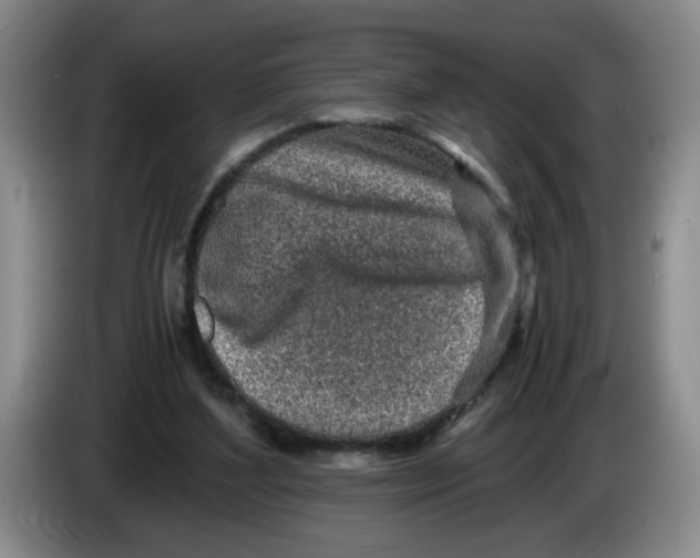 X0000084030204200703092017