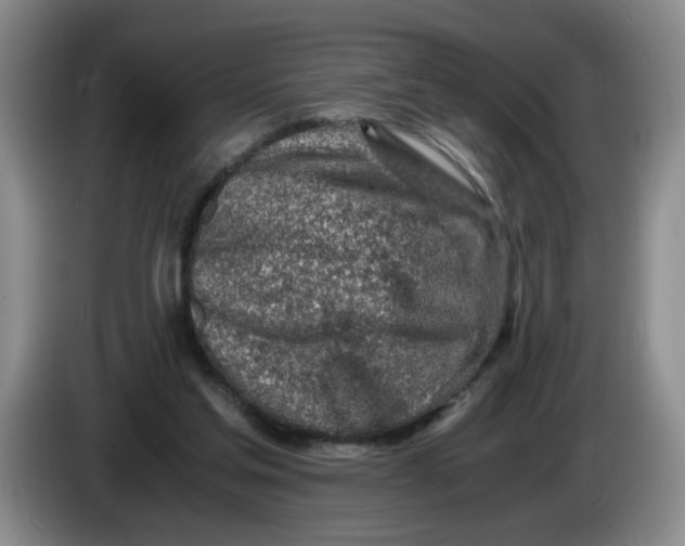 X0000084030205200703092017