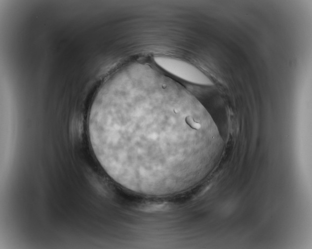 X0000084030206200703092017