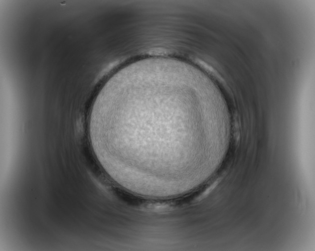 X0000084030208200703092017