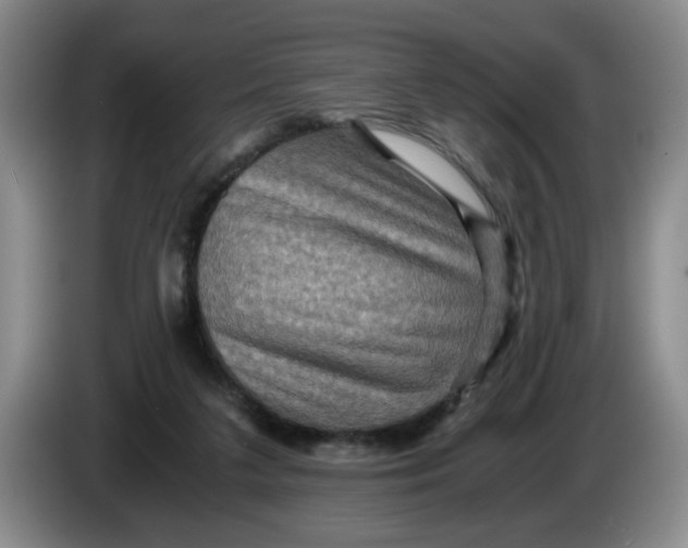 X0000084030211200703092017