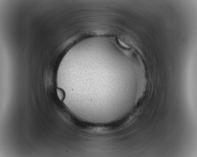 X0000084030212200703092017