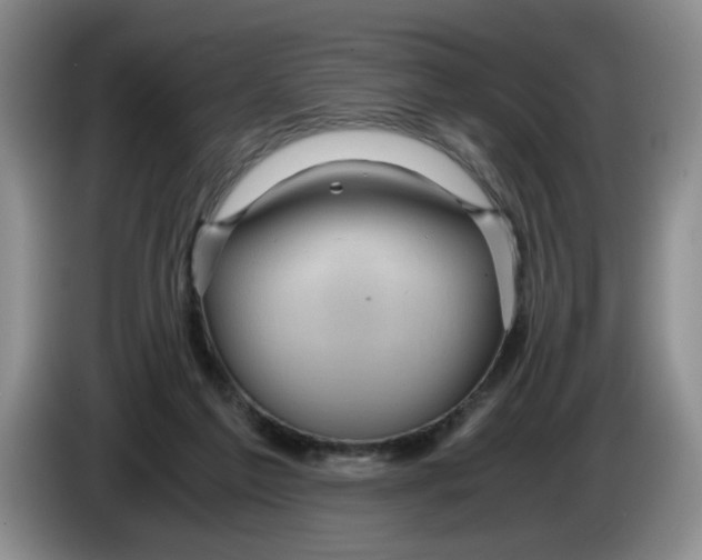 X0000084030213200703092017