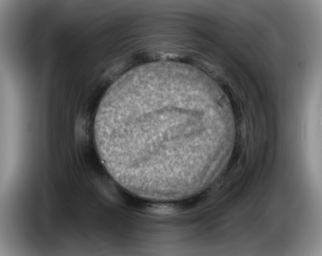 X0000084030218200703092017