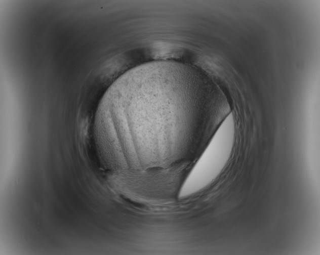 X0000084030219200703092017