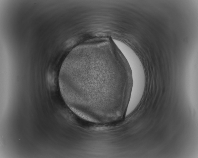 X0000084030228200703092017