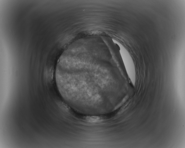 X0000084030230200703092017