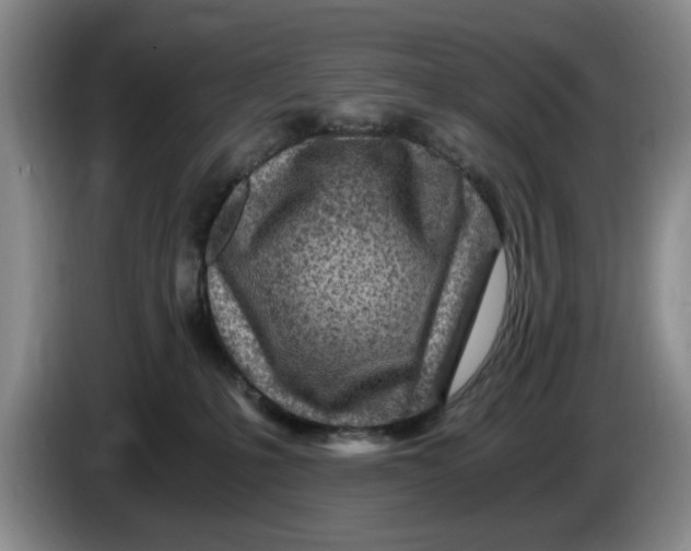 X0000084030231200703092017