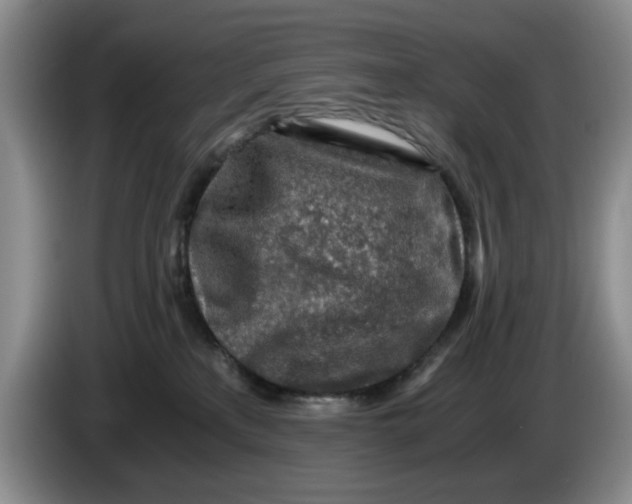 X0000084030233200703092017