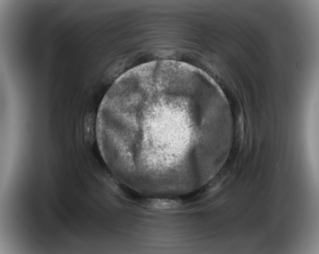 X0000084030234200703092017