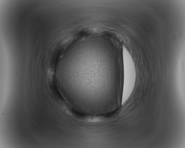 X0000084030235200703092017