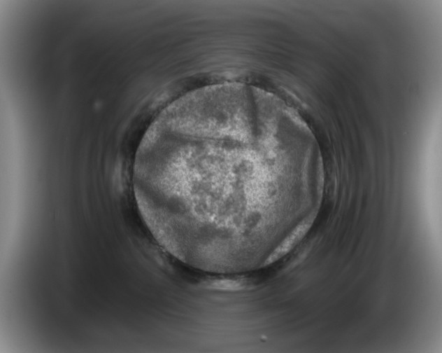 X0000084030236200703092017