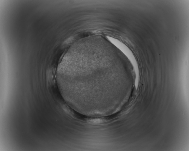 X0000084030237200703092017