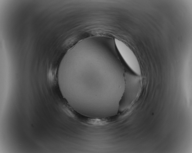 X0000084030239200703092017