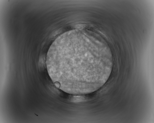 X0000084030240200703092016