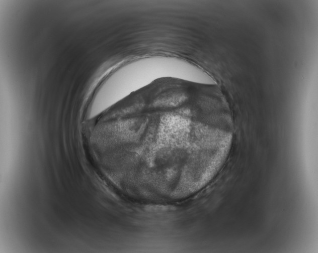 X0000084030242200703092016