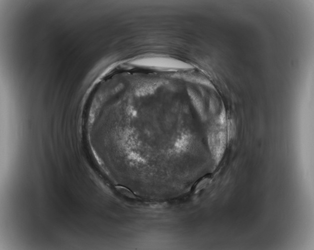 X0000084030243200703092016