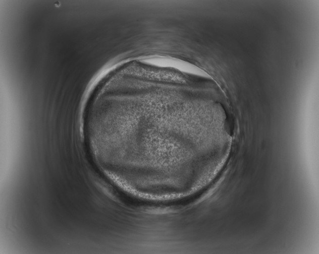 X0000084030246200703092016