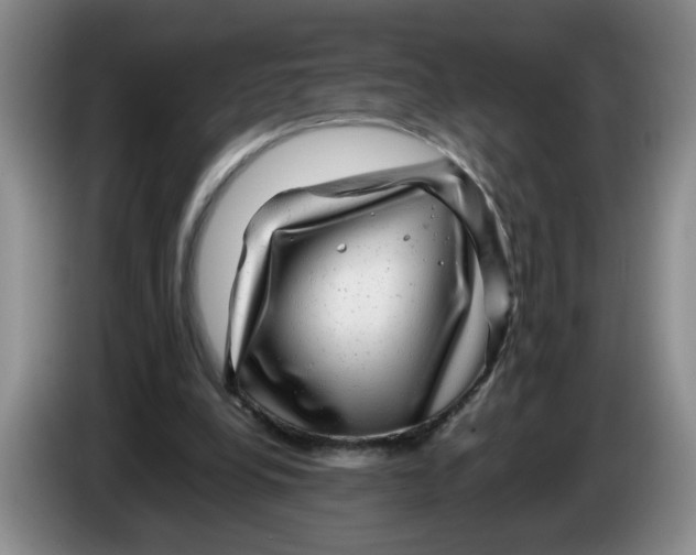 X0000084030248200703092016