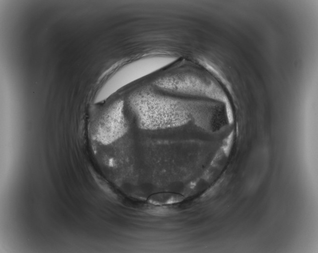 X0000084030249200703092016