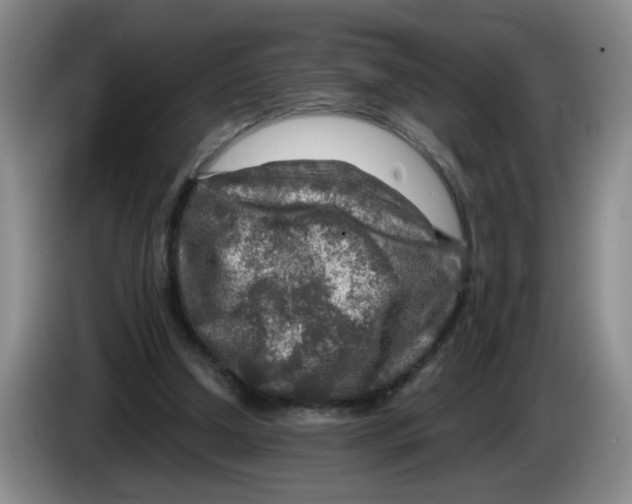 X0000084030250200703092016