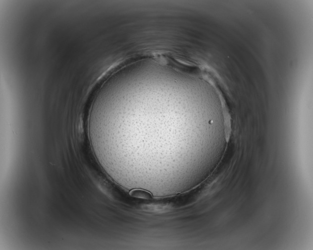 X0000084030251200703092016