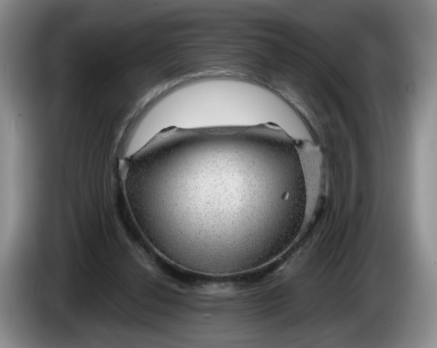 X0000084030252200703092016