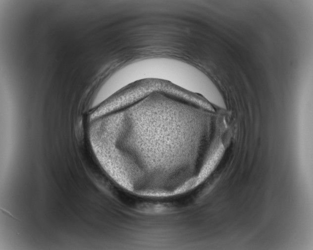 X0000084030254200703092016