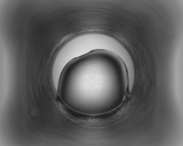 X0000084030256200703092016