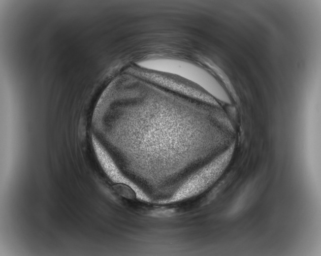 X0000084030257200703092016