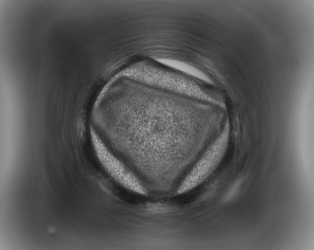 X0000084030259200703092016