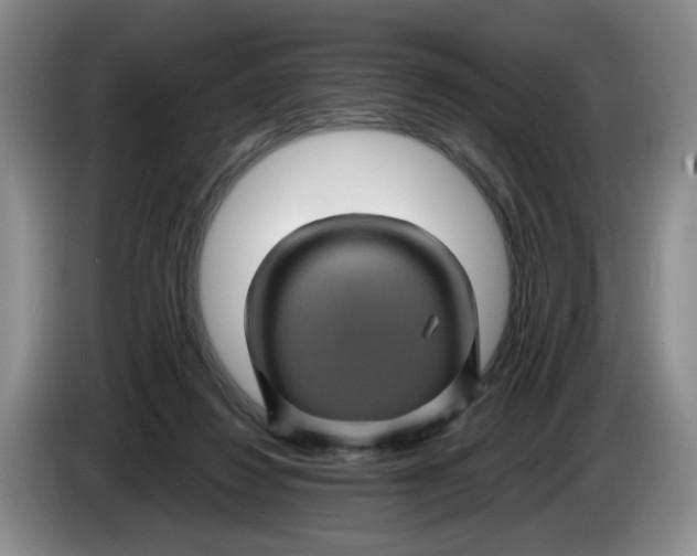 X0000084030260200703092016