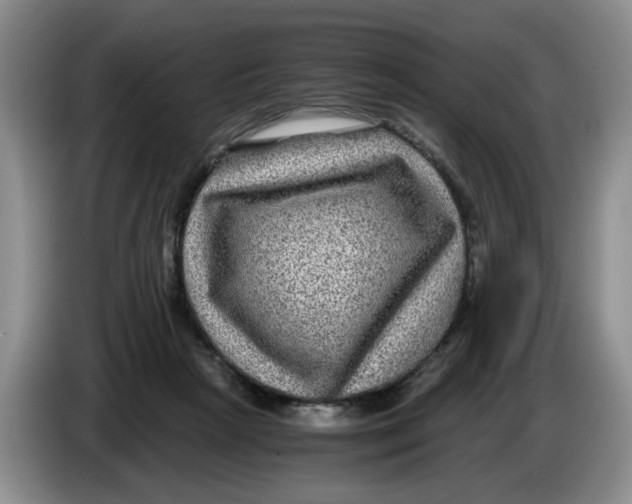 X0000084030265200703092016