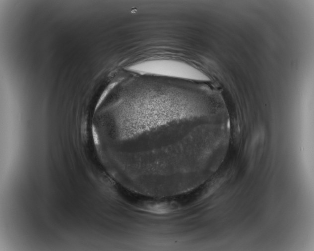 X0000084030267200703092016